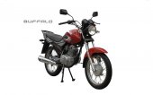 2013 Qingqi Buffalo QM125-10R photo